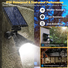 将图片加载到图库查看器，2-Piece: Solar Spotlight Outdoor Dusk Waterproof
