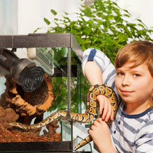 Load image into Gallery viewer, 2-Pieces: 150W Infrared Reptile Heat Lamp No Light Emitting

