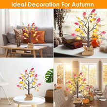将图片加载到图库查看器，2-Pieces: 2FT Artificial Lighted Maple Tree with 24-Pieces Warm White LED Beads
