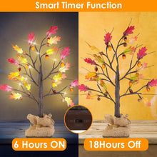 将图片加载到图库查看器，2-Pieces: 2FT Artificial Lighted Maple Tree with 24-Pieces Warm White LED Beads
