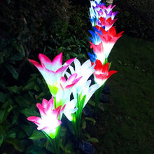 Load image into Gallery viewer, 2-Pieces: Solar Garden Lights Outdoor
