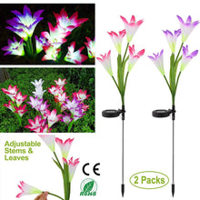 Load image into Gallery viewer, 2-Pieces: Solar Garden Lights Outdoor
