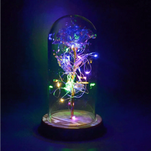 Load image into Gallery viewer, 20 Led Lights Crystal Galaxy Rose in The Glass Dome Gift for Girlfriend - Beauty and The Beast Style Galaxy Rose Flower Gift
