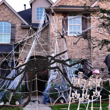 Load image into Gallery viewer, 200" Halloween Spider Web and 59" Giant Spider Decoration
