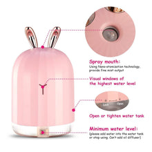 Load image into Gallery viewer, 220ml Cool Mist Humidifier Ultrasonic Air Diffuser Atomizer with 7 Color
