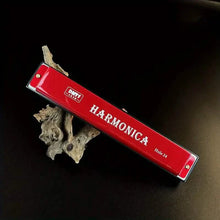 Load image into Gallery viewer, 24 Hole Harmonica Mouth Metal Organ
