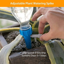 Load image into Gallery viewer, 24-Piece: Plant Watering Spikes Self Watering Device
