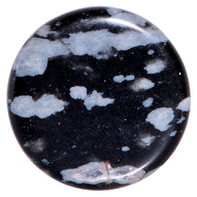 将图片加载到图库查看器，0G Obsidian Snowflake Natural Stone Saddle Plug Set
