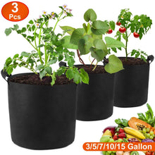 Load image into Gallery viewer, 3-Pack: Planter Bags Breathable Planting Fabric Pots with Harvest Window
