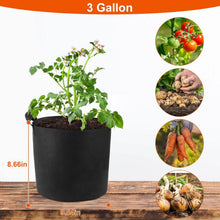Load image into Gallery viewer, 3-Pack: Planter Bags Breathable Planting Fabric Pots with Harvest Window
