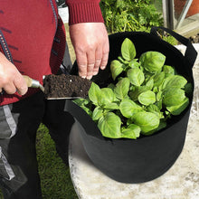 Load image into Gallery viewer, 3-Pack: Planter Bags Breathable Planting Fabric Pots with Harvest Window
