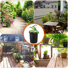 Load image into Gallery viewer, 3-Pack: Planter Bags Breathable Planting Fabric Pots with Harvest Window
