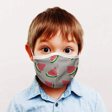将图片加载到图库查看器，3-Pack: Two-Layer Reusable Kids Face Mask with Adjustable Earloop
