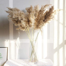 Load image into Gallery viewer, 30/50pcs Bulrush Natural Dried Small Pampas Grass Artificial Decor Wedding Flower Bunch Home Office  Floor Vase Filler for Living Room Kitchen And Event Decoration
