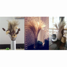 Load image into Gallery viewer, 30/50pcs Bulrush Natural Dried Small Pampas Grass Artificial Decor Wedding Flower Bunch Home Office  Floor Vase Filler for Living Room Kitchen And Event Decoration
