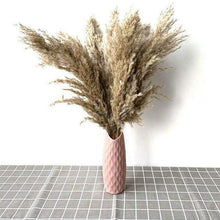 Load image into Gallery viewer, 30/50pcs Bulrush Natural Dried Small Pampas Grass Artificial Decor Wedding Flower Bunch Home Office  Floor Vase Filler for Living Room Kitchen And Event Decoration
