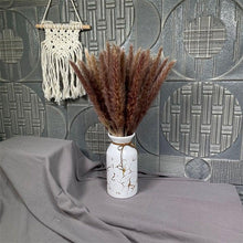 Load image into Gallery viewer, 30Pcs Dried Bulrush Flowers Bouquet Home Wedding Decoration Table Flores Preservadas Pampas Grass Natural Reed Decor for Room
