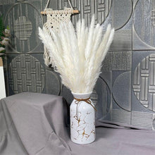 Load image into Gallery viewer, 30Pcs Dried Bulrush Flowers Bouquet Home Wedding Decoration Table Flores Preservadas Pampas Grass Natural Reed Decor for Room
