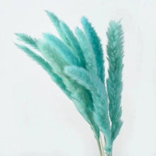 Load image into Gallery viewer, 30Pcs Dried Bulrush Flowers Bouquet Home Wedding Decoration Table Flores Preservadas Pampas Grass Natural Reed Decor for Room
