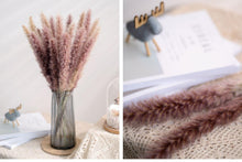 将图片加载到图库查看器，30pcs Natural Dried Pampas Grass Bouquet Pampas Grass Reeds Flowers Bulrush Bouquets Durable For for Vase Artificial Grass Room Décor Wedding Decorations
