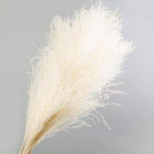 将图片加载到图库查看器，30pcs Natural Dried Pampas Grass Bouquet Pampas Grass Reeds Flowers Bulrush Bouquets Durable For for Vase Artificial Grass Room Décor Wedding Decorations
