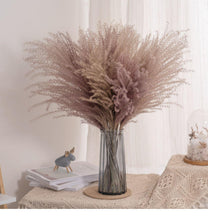 将图片加载到图库查看器，30pcs Natural Dried Pampas Grass Bouquet Pampas Grass Reeds Flowers Bulrush Bouquets Durable For for Vase Artificial Grass Room Décor Wedding Decorations
