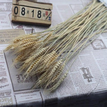 将图片加载到图库查看器，30pcs Natural Dried Pampas Grass Bouquet Pampas Grass Reeds Flowers Bulrush Bouquets Durable For for Vase Artificial Grass Room Décor Wedding Decorations

