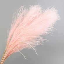 将图片加载到图库查看器，30pcs Natural Dried Pampas Grass Bouquet Pampas Grass Reeds Flowers Bulrush Bouquets Durable For for Vase Artificial Grass Room Décor Wedding Decorations
