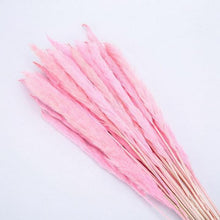 将图片加载到图库查看器，30pcs Natural Dried Pampas Grass Bouquet Pampas Grass Reeds Flowers Bulrush Bouquets Durable For for Vase Artificial Grass Room Décor Wedding Decorations
