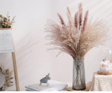 将图片加载到图库查看器，30pcs Natural Dried Pampas Grass Bouquet Pampas Grass Reeds Flowers Bulrush Bouquets Durable For for Vase Artificial Grass Room Décor Wedding Decorations
