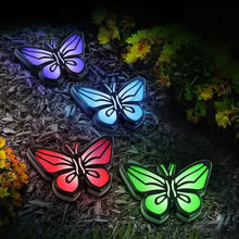 将图片加载到图库查看器，4-Piece Set: Solar Path Lights
