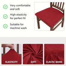 将图片加载到图库查看器，4-Pieces: Solid Color Brushed High Elastic Chair Cover
