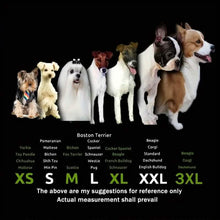 将图片加载到图库查看器，4-Pieces: Water-Resistant Dog Bootie Shoes
