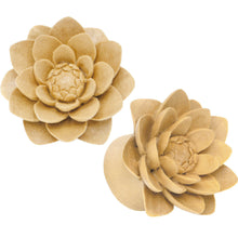 Load image into Gallery viewer, 3/4 Organic Crocodile Wood Lily Hand Carved Plug Set
