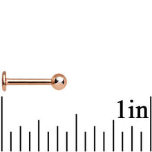 将图片加载到图库查看器，16G 5/16 Rose Gold Plated Labret Tragus Monroe
