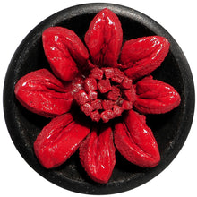 Load image into Gallery viewer, 7/16 Organic Double Flare Arang Wood Plug Red Leather Flower
