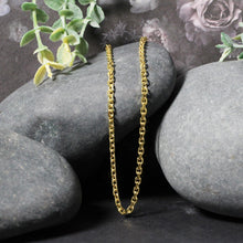 将图片加载到图库查看器，3.1mm 14k Yellow Gold Diamond Cut Cable Link Chain
