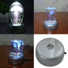 将图片加载到图库查看器，4 LEDs Illuminated Base Lamp
