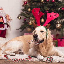 Load image into Gallery viewer, 5-Pieces: Christmas Dog Rope Chew Toys
