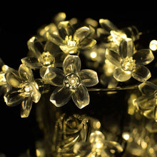Load image into Gallery viewer, 50 LED Fairy Flower Blossom Solar String Lights
