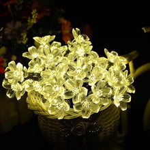 Load image into Gallery viewer, 50 LED Fairy Flower Blossom Solar String Lights
