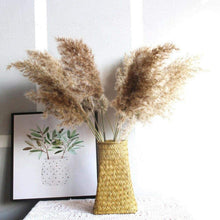 将图片加载到图库查看器，50Pcs/Bunch 50cm Natural Phragmites Reed Flowers Bulrush Bouquet Big Dried Pampas Grass Wedding Decoration Home Fall Decor
