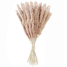 将图片加载到图库查看器，50Pcs/Bunch 50cm Natural Phragmites Reed Flowers Bulrush Bouquet Big Dried Pampas Grass Wedding Decoration Home Fall Decor
