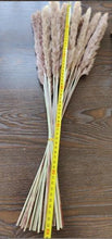 将图片加载到图库查看器，50Pcs/Bunch 50cm Natural Phragmites Reed Flowers Bulrush Bouquet Big Dried Pampas Grass Wedding Decoration Home Fall Decor
