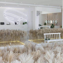 将图片加载到图库查看器，50Pcs/Bunch 50cm Natural Phragmites Reed Flowers Bulrush Bouquet Big Dried Pampas Grass Wedding Decoration Home Fall Decor
