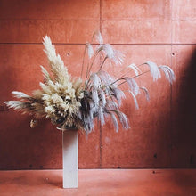 将图片加载到图库查看器，50Pcs/Bunch 50cm Natural Phragmites Reed Flowers Bulrush Bouquet Big Dried Pampas Grass Wedding Decoration Home Fall Decor
