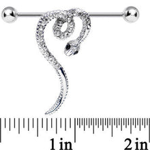 将图片加载到图库查看器，Clear Gem Heart Coiled Snake Industrial Barbell
