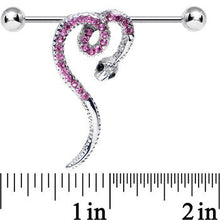 将图片加载到图库查看器，Pink Gem Heart Coiled Snake Industrial Barbell

