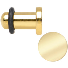 Load image into Gallery viewer, 4G Titanium Plated Steel Sunlit Flat Top Single Flare Plug Set
