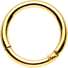 将图片加载到图库查看器，16G 5/16 Gold Anodized Titanium Hinged Segment Ring
